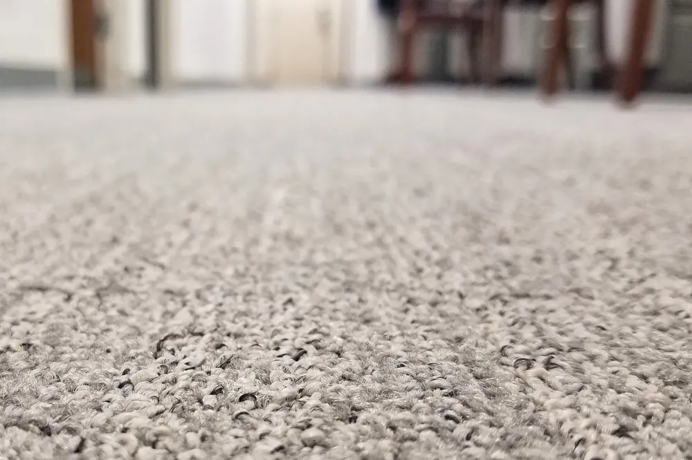 moquette